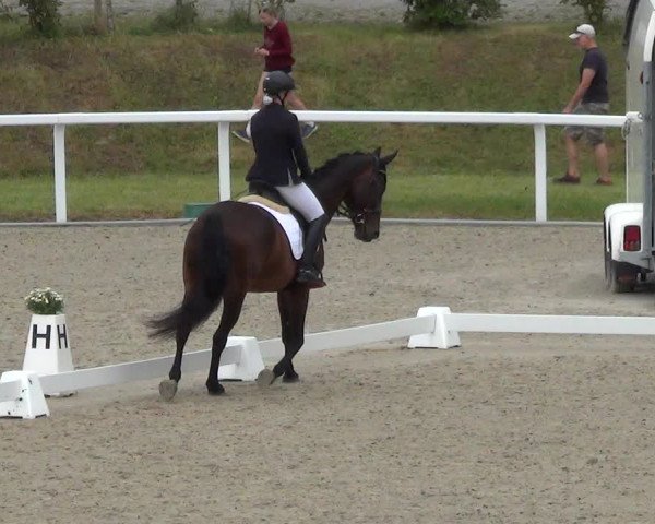 Reitturnier Bülach 2023