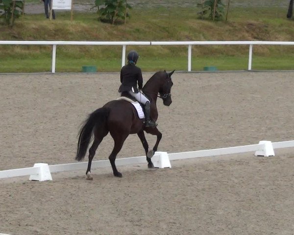 Reitturnier Bülach 2023