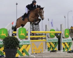 jumper Joline de Fremis (Belgium Sporthorse, 2015, from Boyfriend du Seigneur)