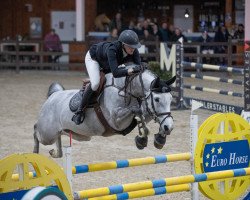 Springpferd Coup de Coeur Kvg Z (Zangersheide Reitpferd, 2016, von Cicero Z van Paemel)