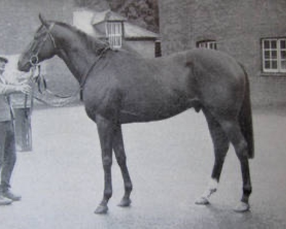 stallion King's Troop xx (Thoroughbred, 1957, from Princely Gift xx)