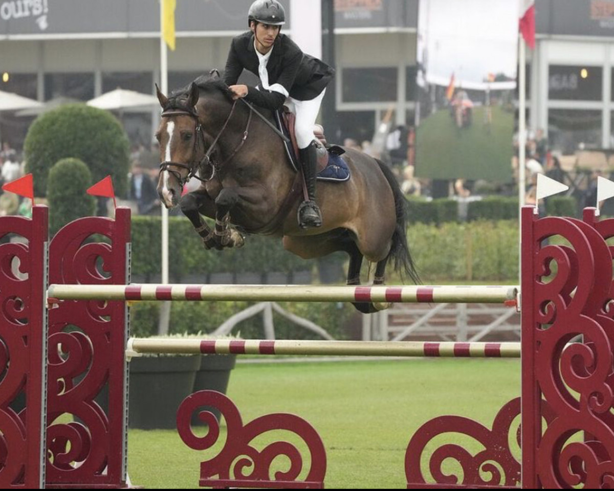 jumper U-Ustinov Hc (anglo european sporthorse, 2011, from Ustinov 27)