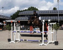 jumper Untouched Uschi (Westphalian, 2017, from United Touch S)