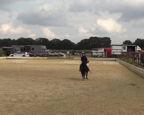 Reitturnier Ostbevern 2023