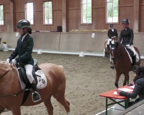 Reitturnier Zillhofen/Obb. 2023