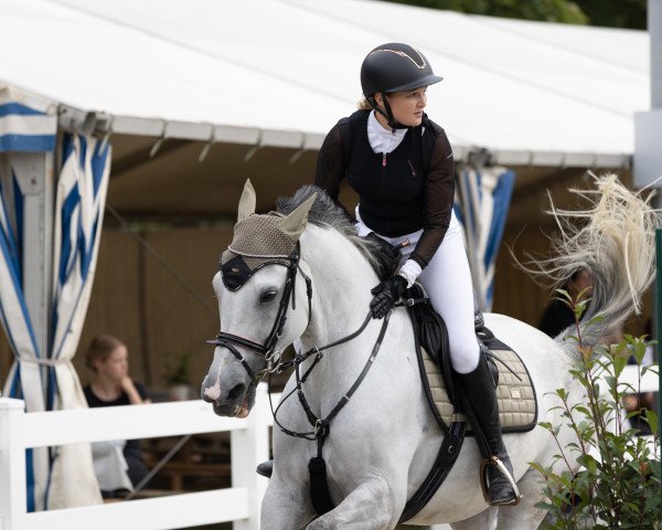 Springpferd Heidi F (KWPN (Niederländisches Warmblut), 2012, von Bugatti VDL)