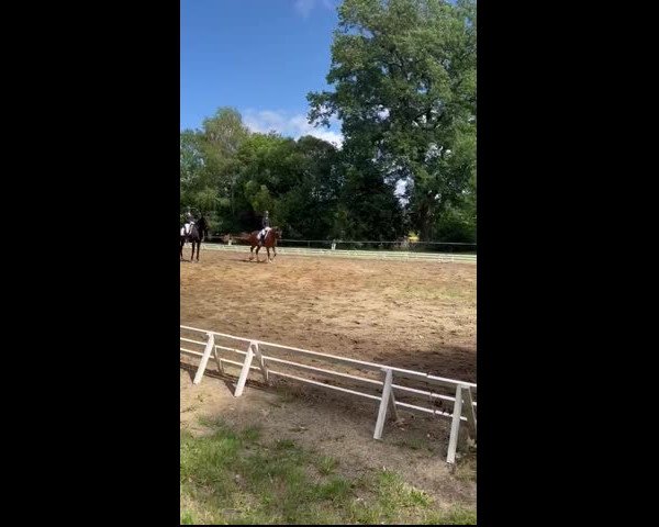 Video of Dancera