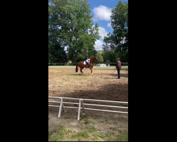 Video of Dancera