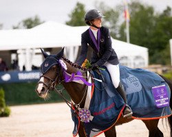 jumper Ilana (Canadian Warmblood, 2013, from Kvf Tacorde)