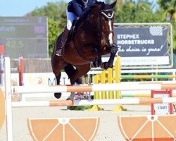 jumper Rolo Os (anglo european sporthorse, 2017, from Candy de Nantuel)