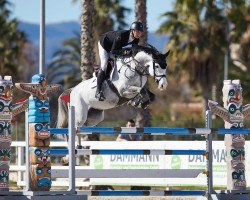 jumper Emmylou (Oldenburg show jumper, 2013, from Cabachon)