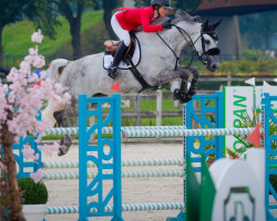 jumper Kornet's Prelude R.t. (KWPN (Royal Dutch Sporthorse), 2015, from Cornet Obolensky)