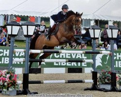 jumper Faith (KWPN (Royal Dutch Sporthorse), 2010, from Breitling LS)