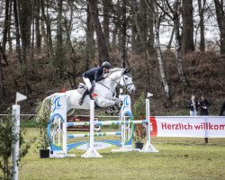 jumper Chello Vh Voorbos Z (Zangersheide riding horse, 2006, from Chellano Z)