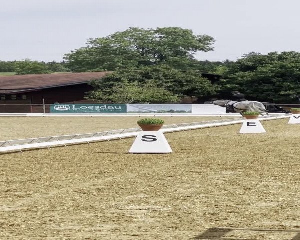 Reitturnier Gut Kerschlach/Obb. 2023