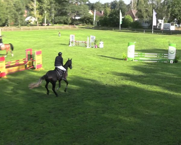 Reitturnier Dannenberg 2023
