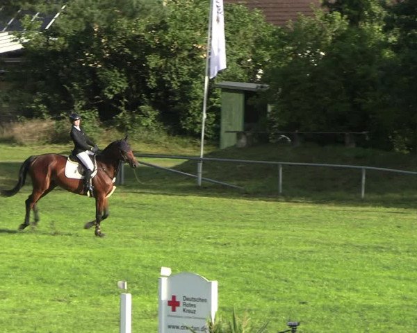 Reitturnier Dannenberg 2023