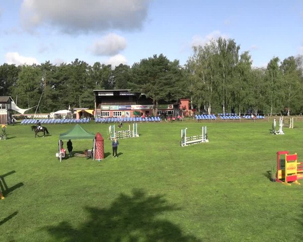 Reitturnier Dannenberg 2023