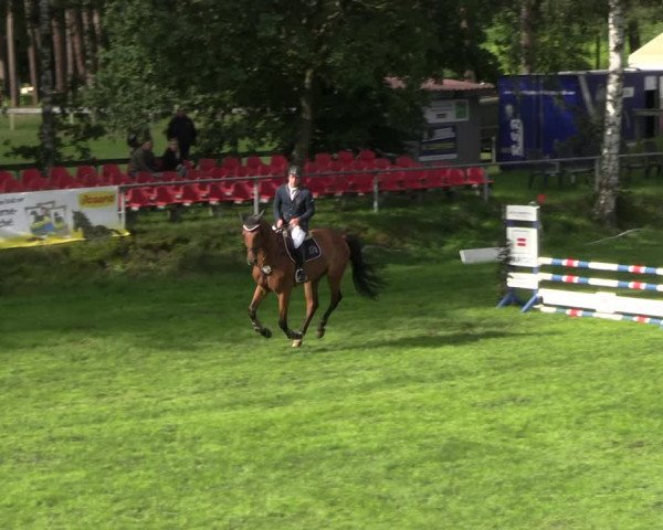 Reitturnier Dannenberg 2023