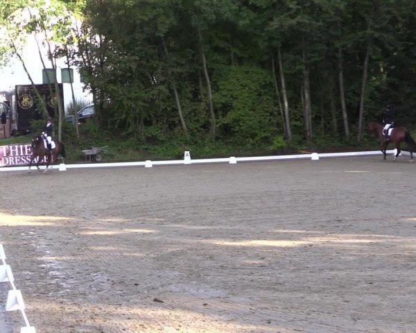 Reitturnier Köln-Flittard (Scheuerhof) 2023
