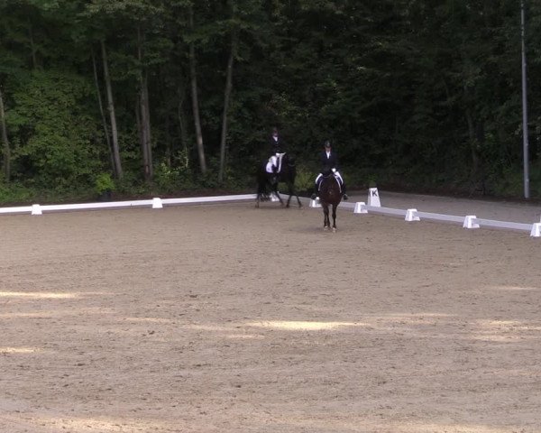 Reitturnier Köln-Flittard (Scheuerhof) 2023