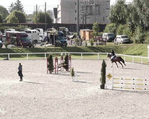 Pferdesporttage Bülach 2021