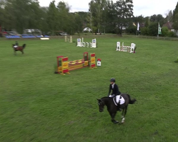 Reitturnier Dannenberg 2023