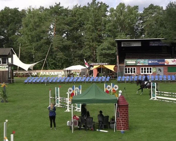 Reitturnier Dannenberg 2023