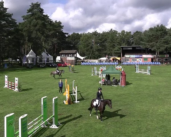 Reitturnier Dannenberg 2023