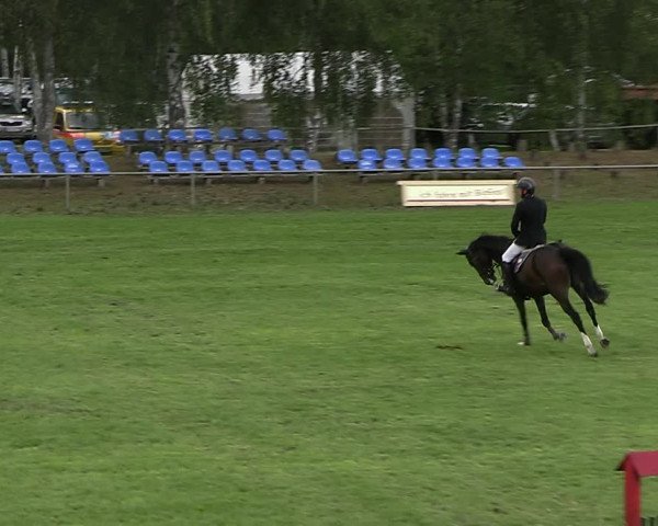 Reitturnier Dannenberg 2023