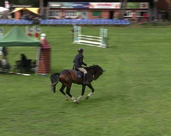 Reitturnier Dannenberg 2023
