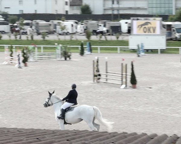 Pferdesporttage Bülach 2021