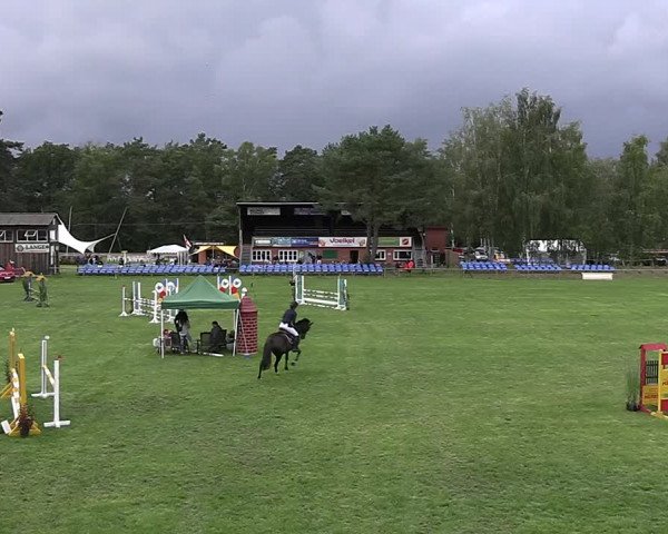 Reitturnier Dannenberg 2023