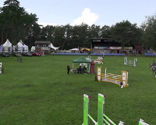 Reitturnier Dannenberg 2023