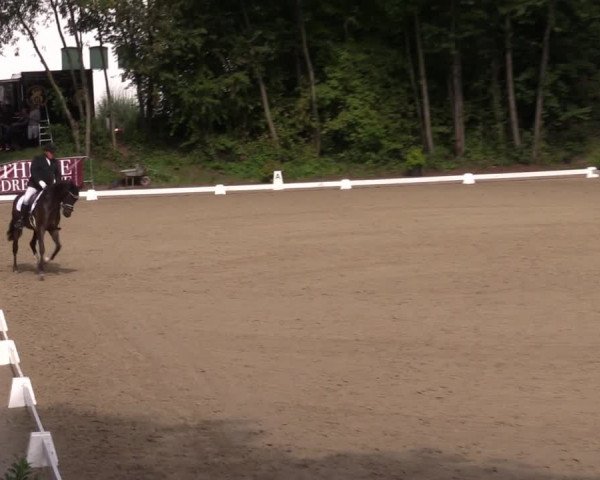 Reitturnier Köln-Flittard (Scheuerhof) 2023
