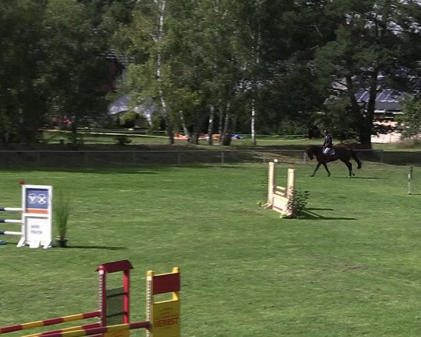 Reitturnier Dannenberg 2023