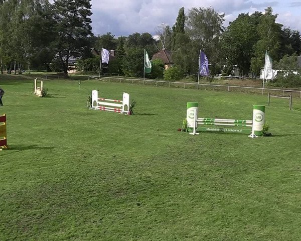 Reitturnier Dannenberg 2023