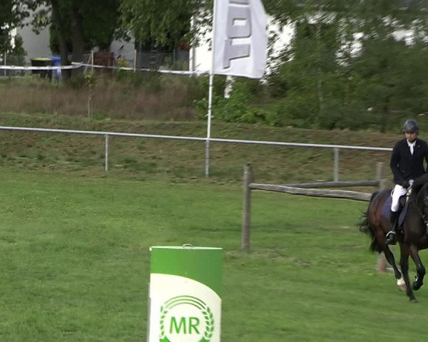 Reitturnier Dannenberg 2023