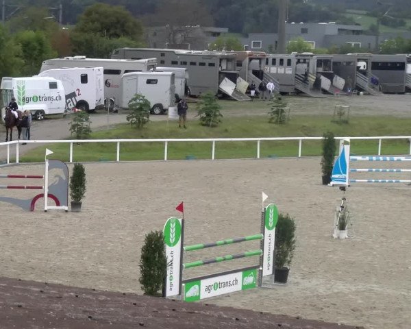 Reitturnier Bülach 2023