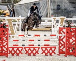 jumper Lorentzh (KWPN (Royal Dutch Sporthorse), 2016, from El Salvador)