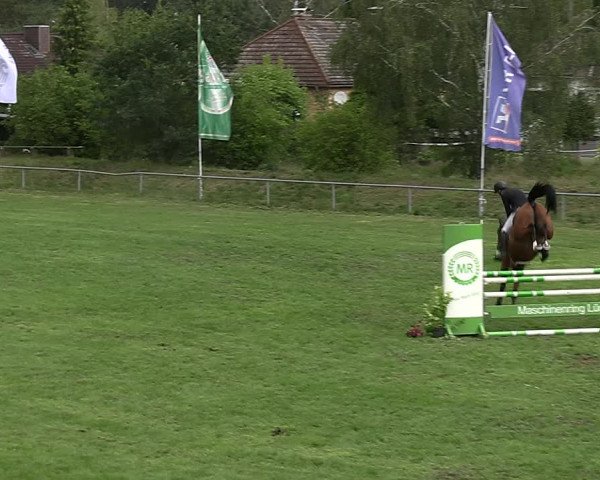 Reitturnier Dannenberg 2023