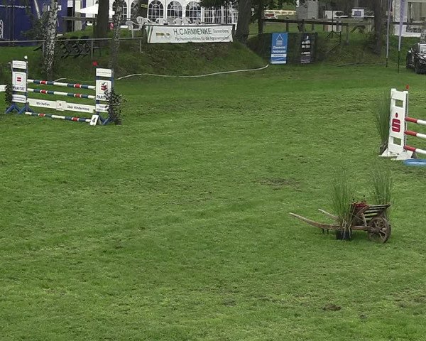 Reitturnier Dannenberg 2023