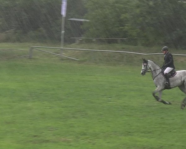 Reitturnier Dannenberg 2023