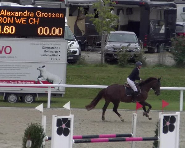 Reitturnier Bülach 2023