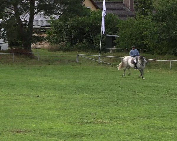 Reitturnier Dannenberg 2023