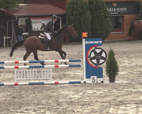 Reitturnier Richelsdorf 2023