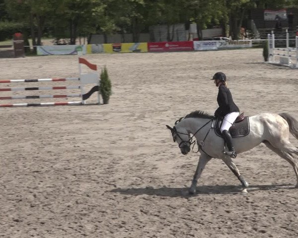 Reitturnier Richelsdorf 2023