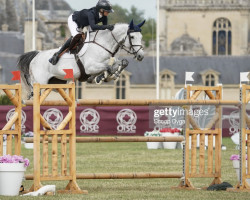 stallion K.i Parrandero (Holsteiner, 2012, from Clarimo Ask)