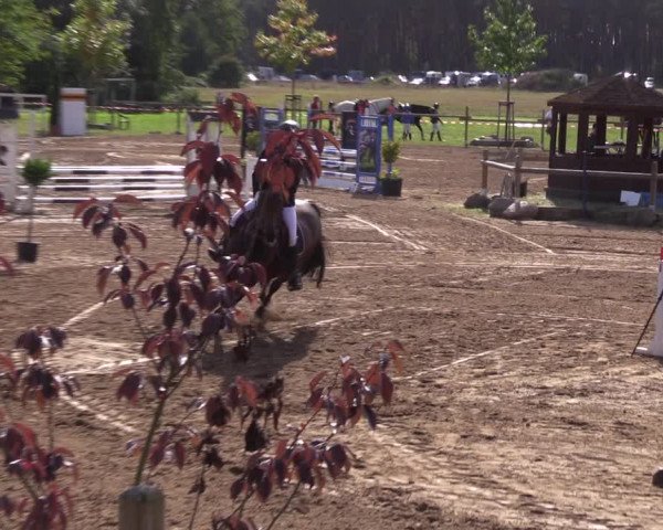 Reitturnier Baitz 2021