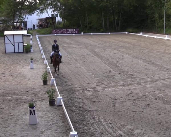 Reitturnier Köln-Flittard (Scheuerhof) 2023